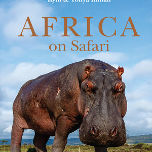 'Africa on Safari' is a collection of unique images of wildlife, taken up close through the use of camera buggies which have provided unprecedented access.